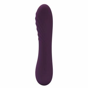 PRETTY LOVE - ALEXISROSE RECHARGEABLE VIBRATOR 10 FUNCTIONS PURPLE