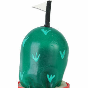 CONDOMERIE - HANDPAINTED NOVELTY CONDOMS GOLF HILL