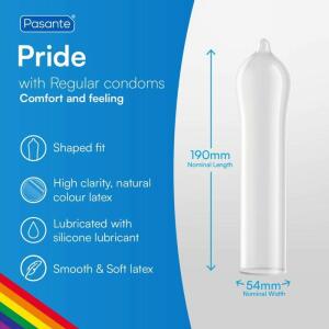 PASANTE - FORMAT GAY PRIDE 144 PACK CONDOMS (BAG)