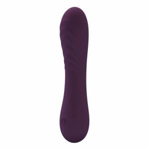 PRETTY LOVE - ALEXISROSE RECHARGEABLE VIBRATOR 10 FUNCTIONS PURPLE