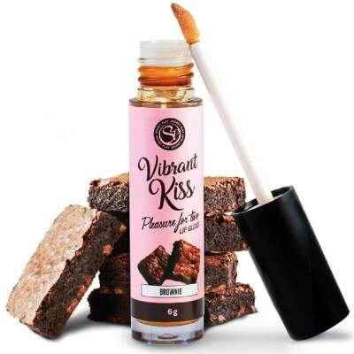 DML-D-218074-SECRETPLAY - LIP GLOSS VIBRANT KISS BROWNIE