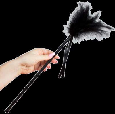 DML-D-216317-SECRETPLAY - BLACK FEATHERS 40 CM