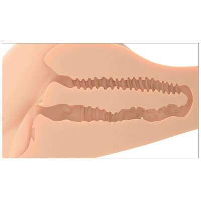 PDX PLUS - 360 BANGER REALISTIC ANAL AND VAGINA MASTURBATOR