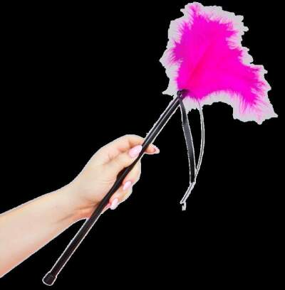 DML-D-216318-SECRETPLAY - PINK FEATHERS 40 CM