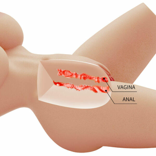 CRAZY BULL - LILY REALISTIC FEMALE TORSO VAGINA AND ANAL 4 KG