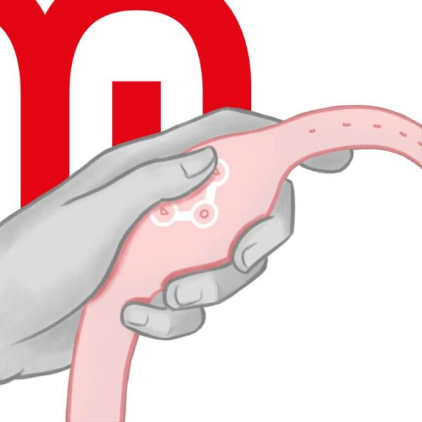 WATCHME - WIRELESS TECHNOLOGY WATCH SOFT PINK